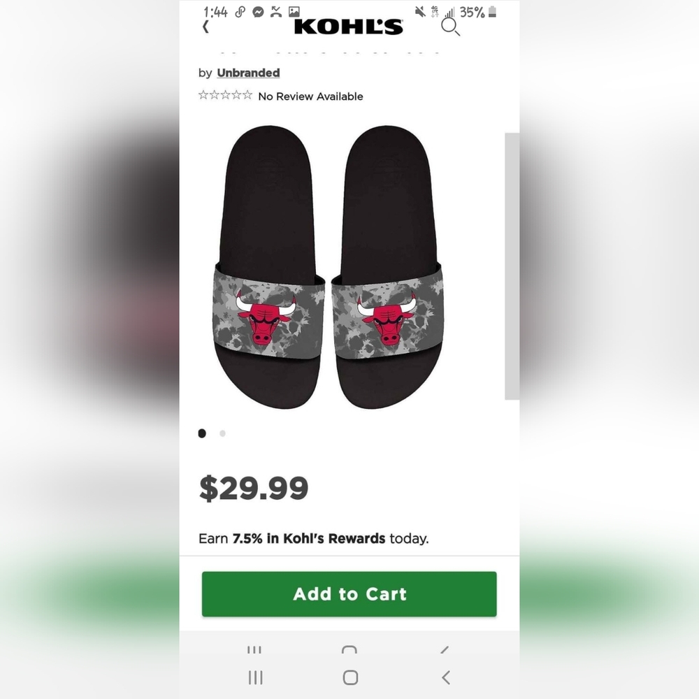 Chicago bulls slides